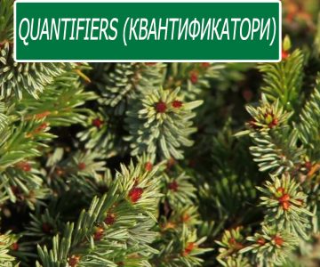 Quantifiers (квантификатори)